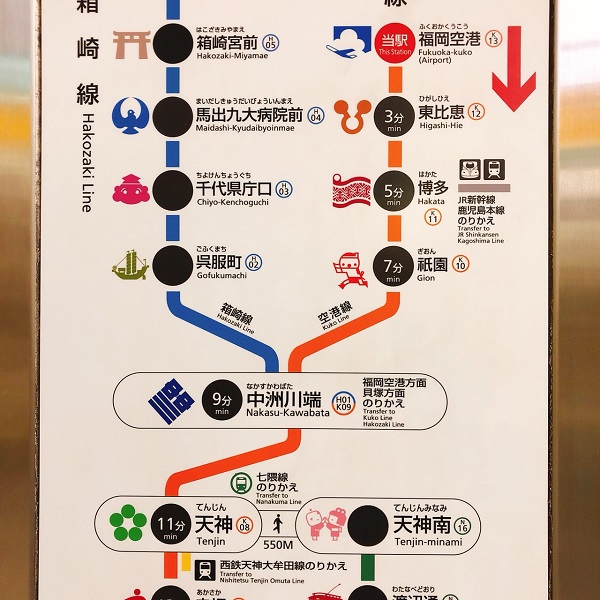 名古屋インポートセレクトショップ　プラスエー（PLUSa）