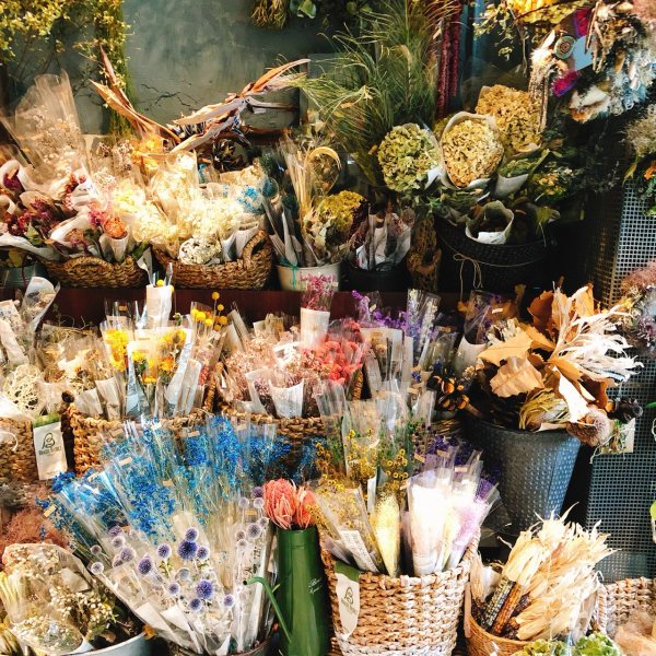 名古屋インポートセレクトショップ　プラスエー（PLUSa）