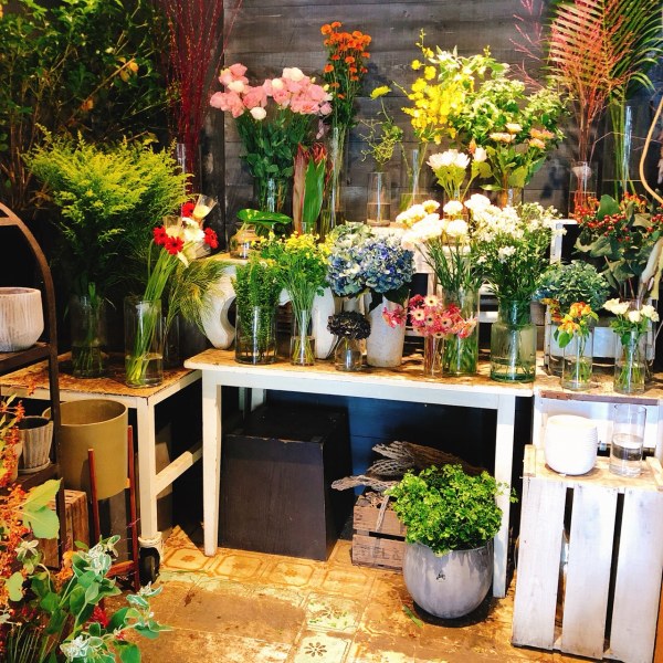 名古屋インポートセレクトショップ　プラスエー（PLUSa）