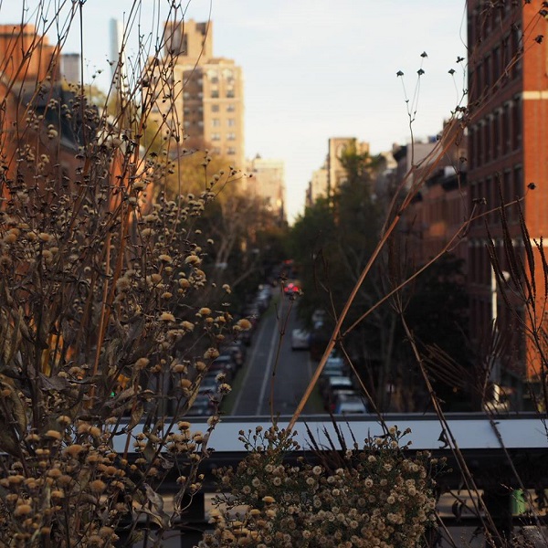 名古屋インポートセレクトショップ　プラスエー（PLUSa）