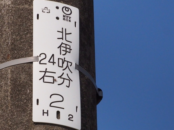 名古屋インポートセレクトショップ　プラスエー（PLUSa）