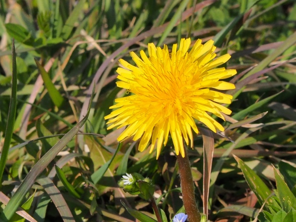 名古屋インポートセレクトショップ　プラスエー（PLUSa）